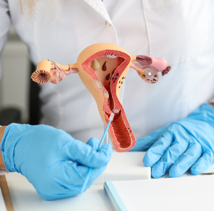 doctor, ginecólogo, oncólogo, enfermedad, mama, matriz